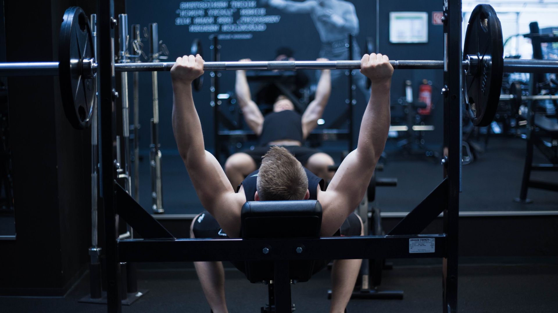 Gym best sale bench game